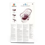 Multi-Functional Baby Bouncer 6 in 1