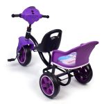 Kids Car Shape Twin Seater Tricycle – Purple