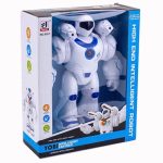 Kids High End Intelligent Partner Robot Toy