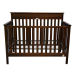Fisher Price 2-in-1 Baby Bed