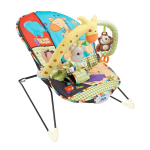 Fitch Baby Baby Bouncer