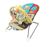 Fitch Baby Baby Bouncer