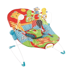 Fitch Baby Baby Bouncer