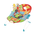 Fitch Baby Baby Bouncer