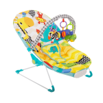 Infant To Toddler Rocker – Fitchbaby