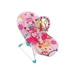 Infant To Toddler Rocker – Fitchbaby