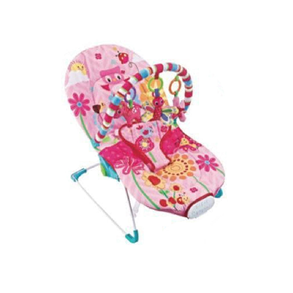 Infant To Toddler Rocker - Fitchbaby