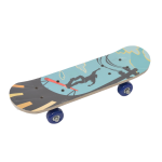 Skate Board