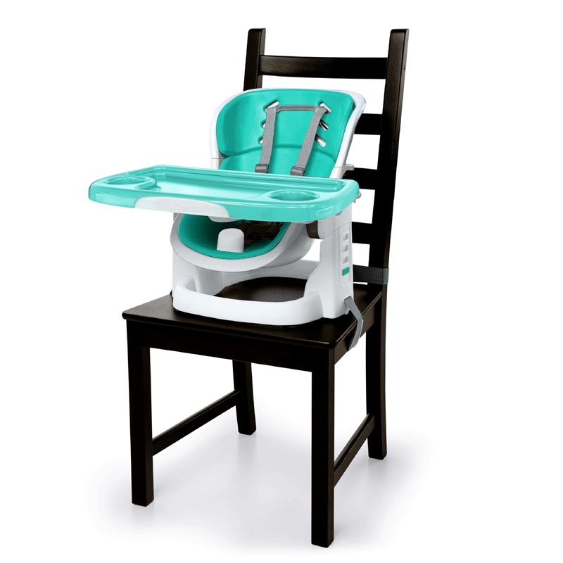 Multi Function Booster Seat - Ingenuity