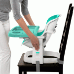 Multi Function Booster Seat – Ingenuity