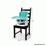 Multi Function Booster Seat – Ingenuity