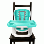 Multi Function Booster Seat – Ingenuity