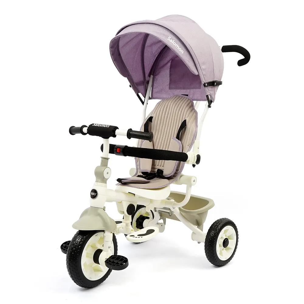 Buy Kids Tricycle With Canopy and Push Bar T-9050 online at best price in Pakistan