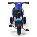 Buy Kids Twin Seater Tricycle - Blue T-221F online at best price in Pakistan