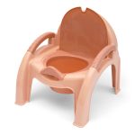 Potty Seat Chair