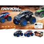 2 WD RC Car Hobby Stunt Car