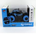 Kids High Speed Storm R/C Car