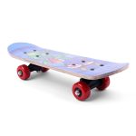 Skate Board