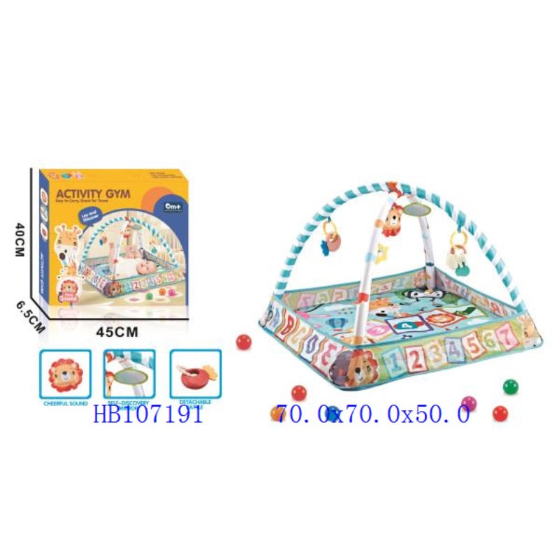 Baby Activity Play Gym